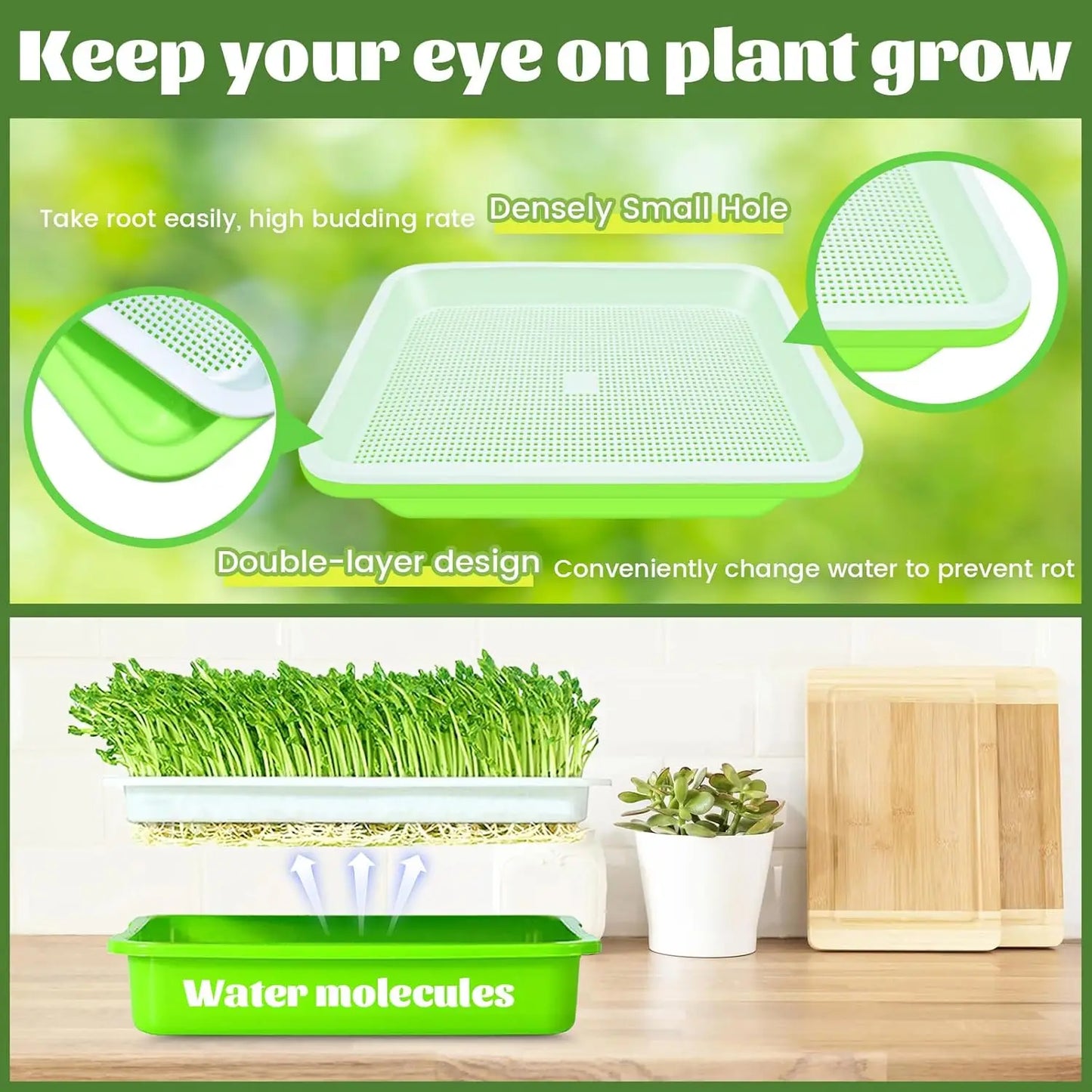 Plateau de Germination Double Couche