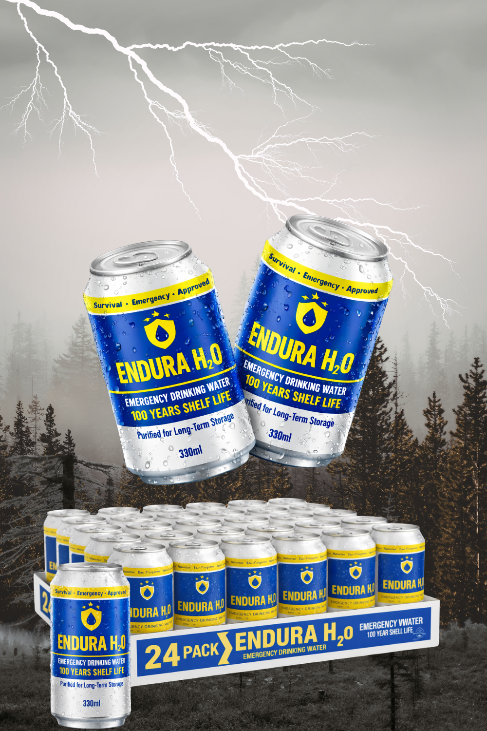 ENDURA H2O - Eau longue conservation (100 ans) - carton de 24 canettes