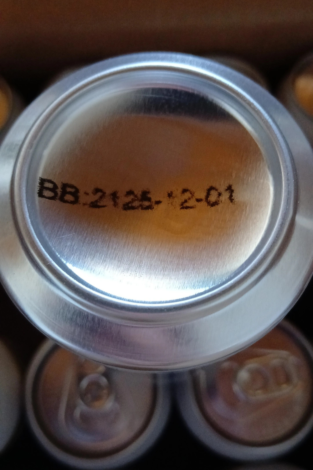 ENDURA H2O - Eau longue conservation (100 ans) - carton de 24 canettes