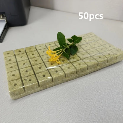 Cubes de Démarrage de Graines