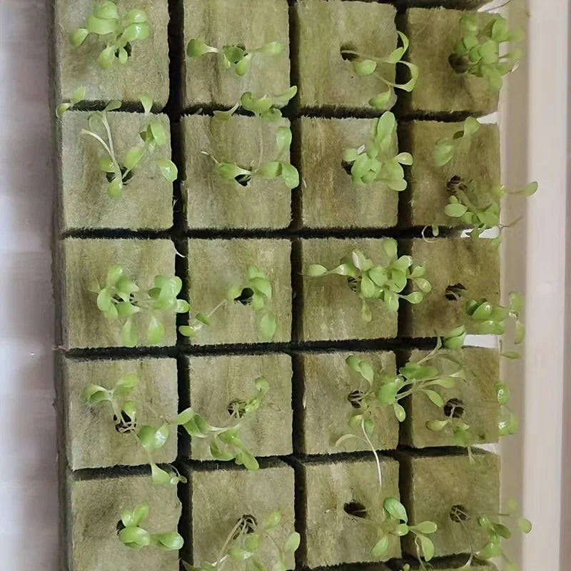 Cubes de Démarrage de Graines