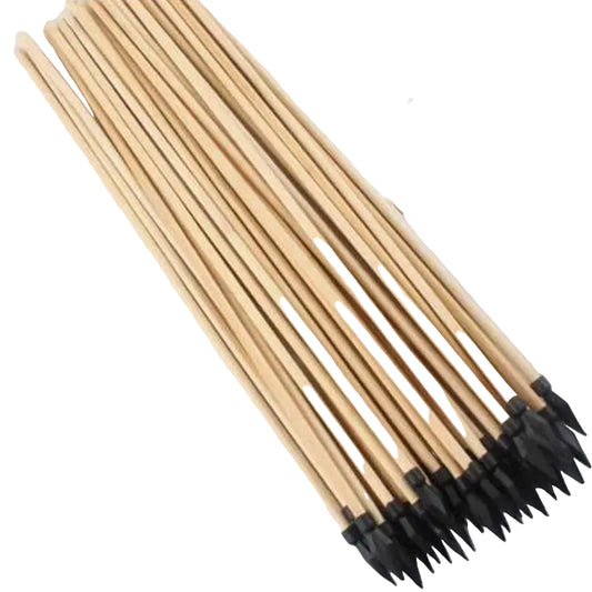 Lot de 10 flèches