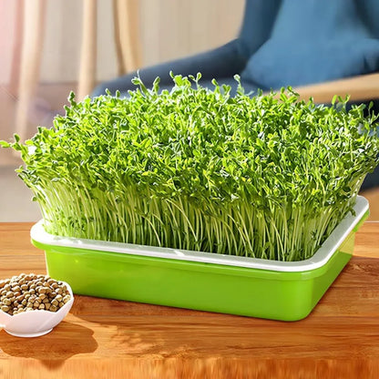 Plateau de Germination Double Couche