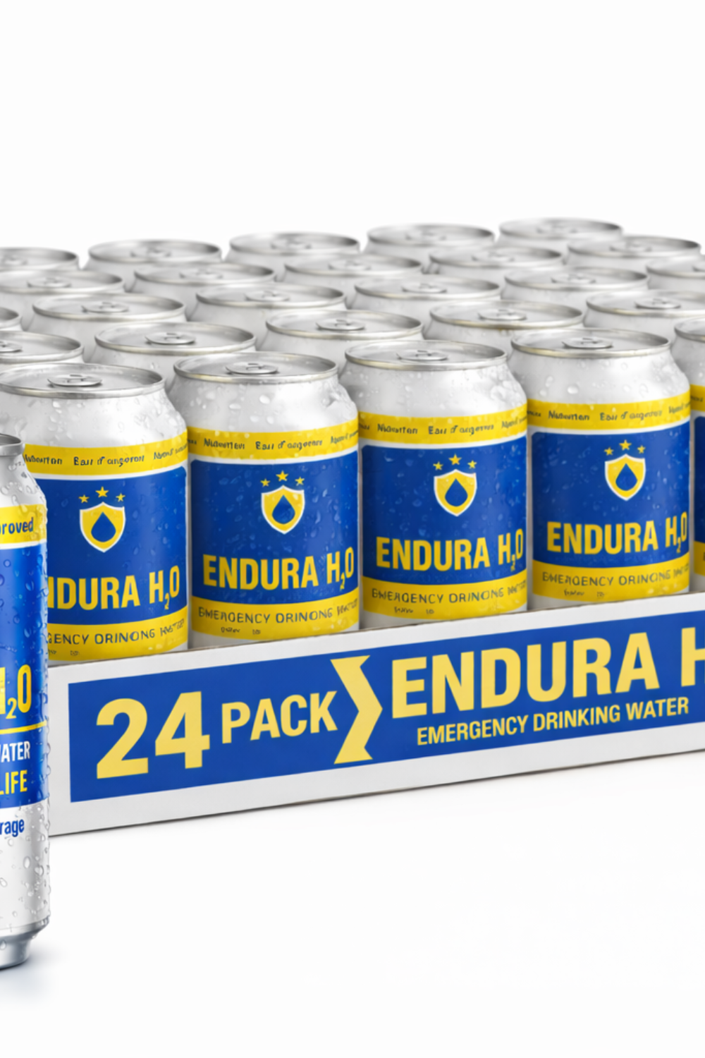 ENDURA H2O - Eau longue conservation (100 ans) - carton de 24 canettes