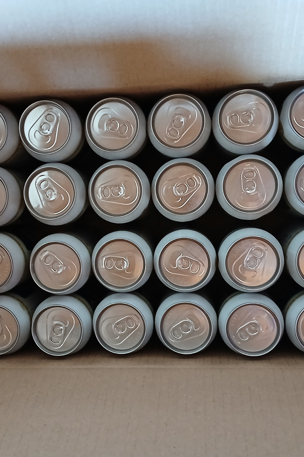 ENDURA H2O - Eau longue conservation (100 ans) - carton de 24 canettes